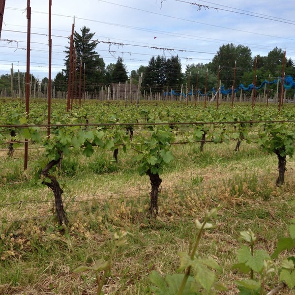Mount Baker Vineyards 4298 Mount Baker Highway