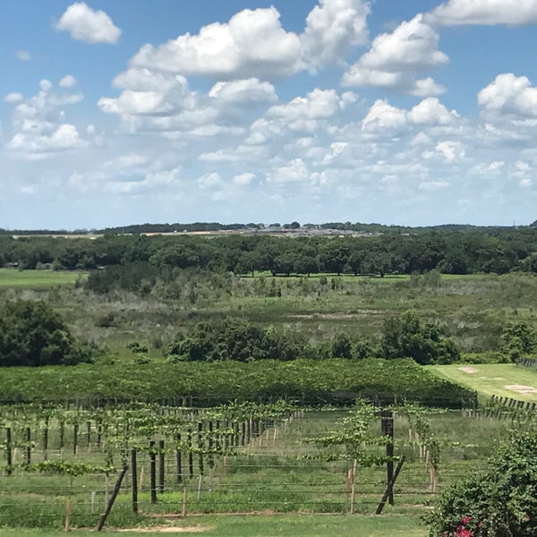 Photo taken at Lakeridge Winery &amp; Vineyards by Dakarai M. on 7/6/2017