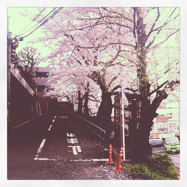 Photos At 花房山通り 五反田 4 Tips