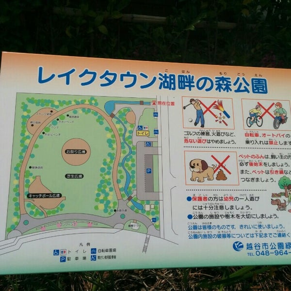 Photos At レイクタウン湖畔の森公園 越谷市 埼玉県