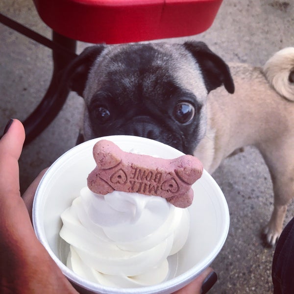 Yummy sundaes! I recommend strawberry & brownie. You can also get a pup cup for your dog!