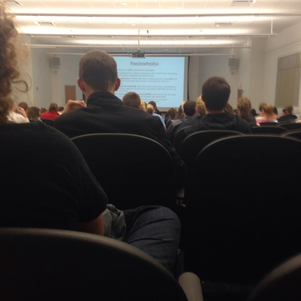 IU Psychology Department Indiana University Bloomington, IN