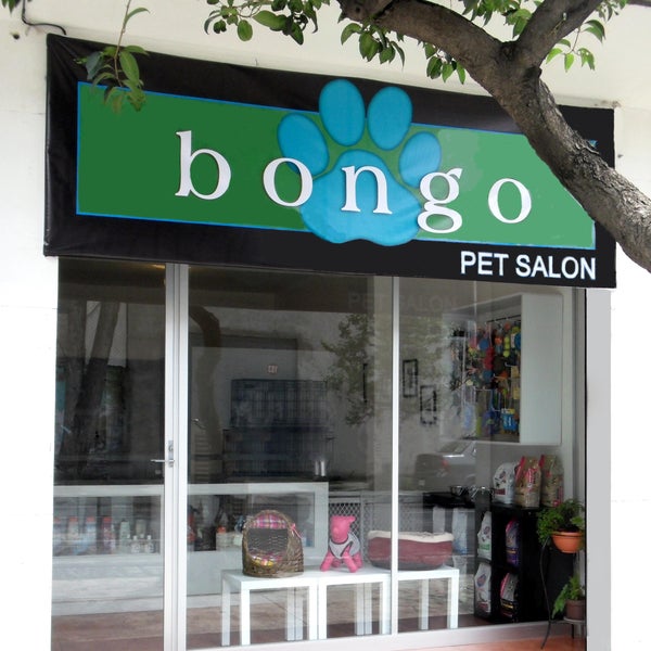 Bongo Pet Salon Álamos 5 tips