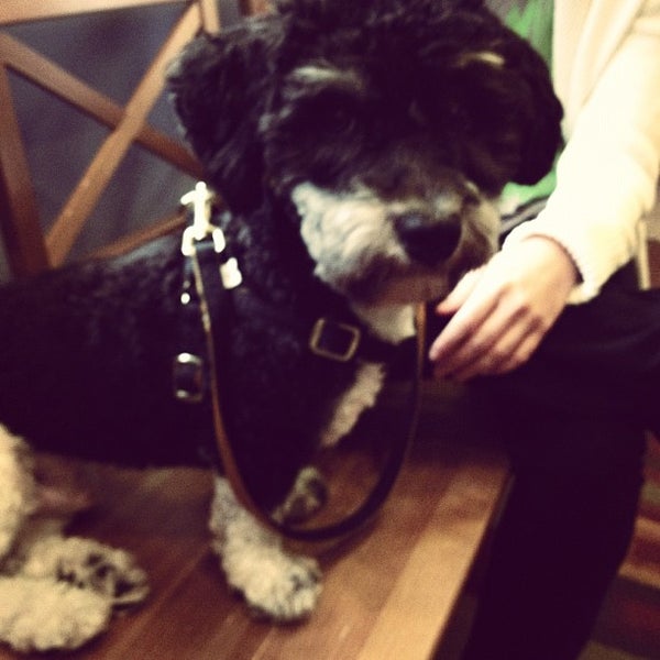 Photo taken at Greenpoint Veterinary by Wesley on 9/29/2012
