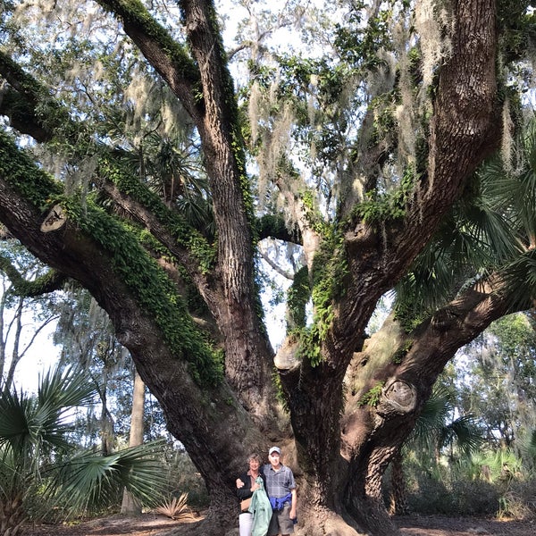 Lake Griffin State Park 3 tips