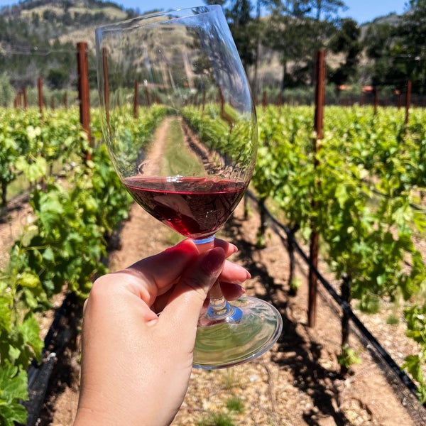 Photo taken at Ledson Winery &amp; Vineyards by Renata R. on 5/15/2022