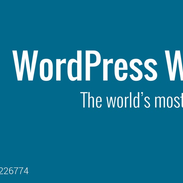 Best and Quality Wordpress Web Design and Development Company in Bangalore,Check our Offers here