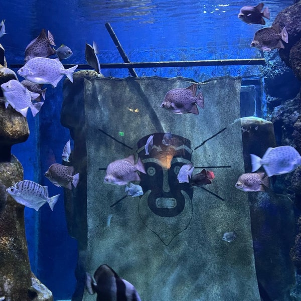 Photo taken at Funtastic Aquarium İzmir by Abdullah on 3/29/2022