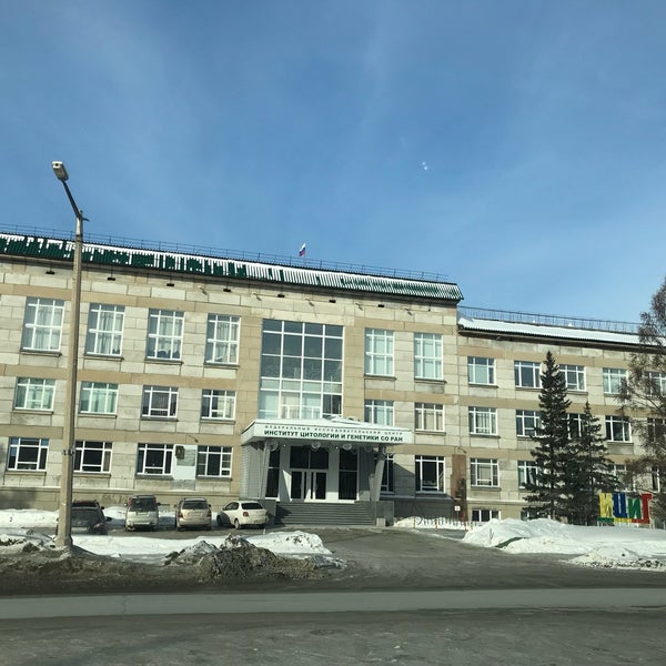 Институт цитологии и генетики со ран. Лаборант гистолог. Схема строения животной клетки клеточный центр. Институт цитологии ран санкт-петербург. Ициг со ран новосибирск.