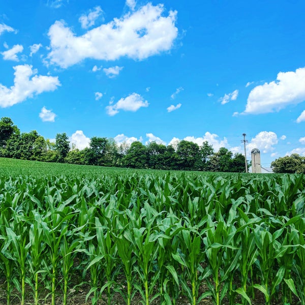 East Stroudsburg, PA 2 tips from 920 visitors