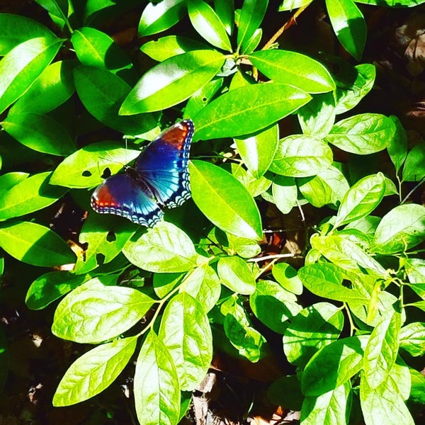 Photo taken at Mohonk Preserve by Rita L. on 2/6/2021