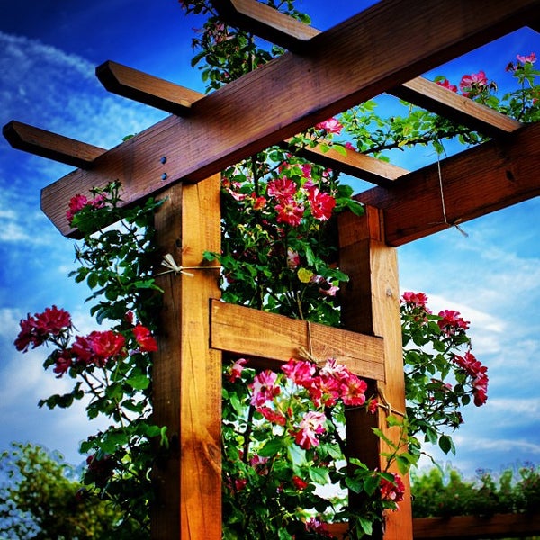 Photos at Rose Garden Park in Westside