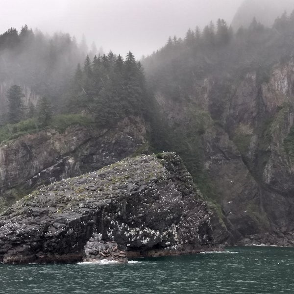 Kenai Fjords Wilderness Lodge Halibut Cove