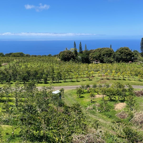 3/24/2021 tarihinde Flávio R.ziyaretçi tarafından Heavenly Hawaiian Farms'de çekilen fotoğraf