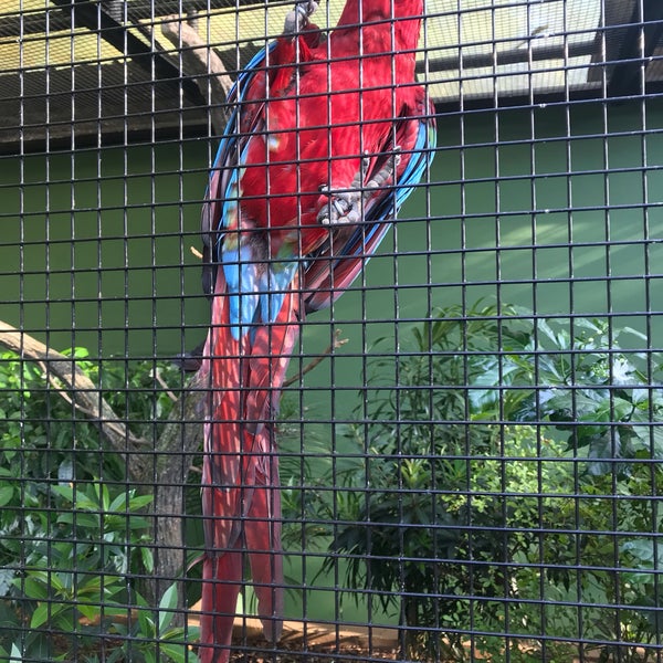 7/19/2019에 G56님이 Jurong Bird Park에서 찍은 사진