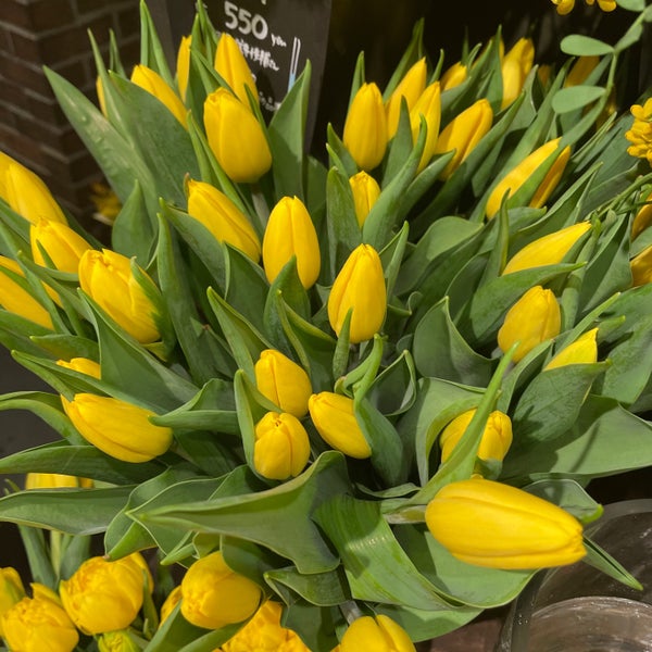 Aoyama Flower Market ルクア大阪店 Lucua1100 梅田 0 Tips