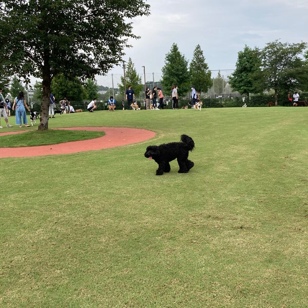 Fotos Em 新横浜公園ドッグラン 港北区 0 Dicas