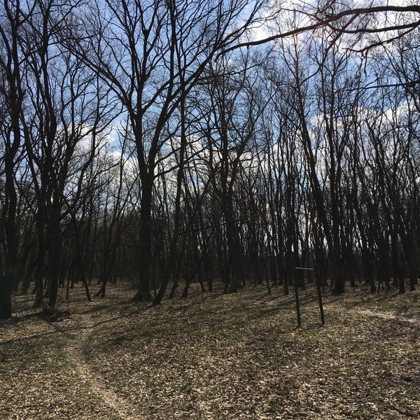Парк дубровский