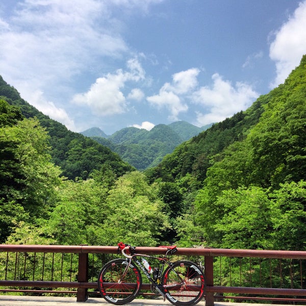 Photos At こころ和む愛犬との湯宿 桃の木温泉 さんわそう 南アルプス市 山梨県