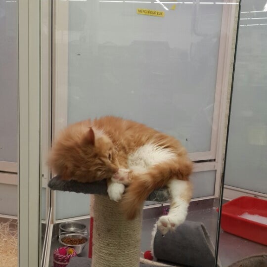 Photos At Animalis Bordeaux Lac Le Lac Bordeaux Nouvelle Aquitaine