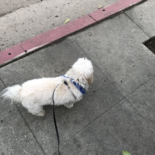 International Silks and Woolens MidCity West 5 tips from 275 visitors