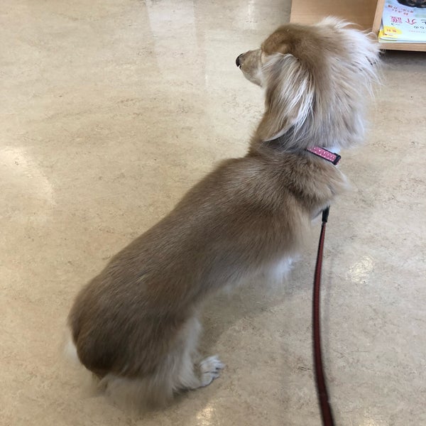 Photos At 谷浦動物病院 海老園1丁目3 30