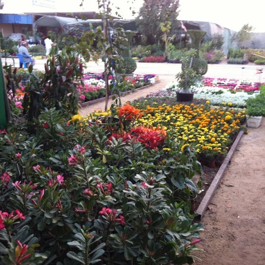 Warsan dubai nursery, Dubai (+971 50 281 3787)
