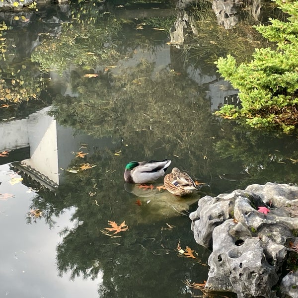 Photo taken at Dr. Sun Yat-Sen Classical Chinese Garden by Petra W. on 11/10/2021