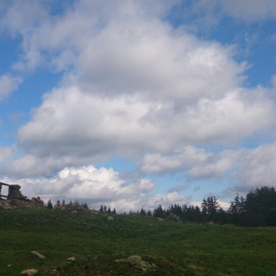 Село боринское. Автобус 21 воронеж. Липецкая обл с боринское. 102 борино. Боринское.