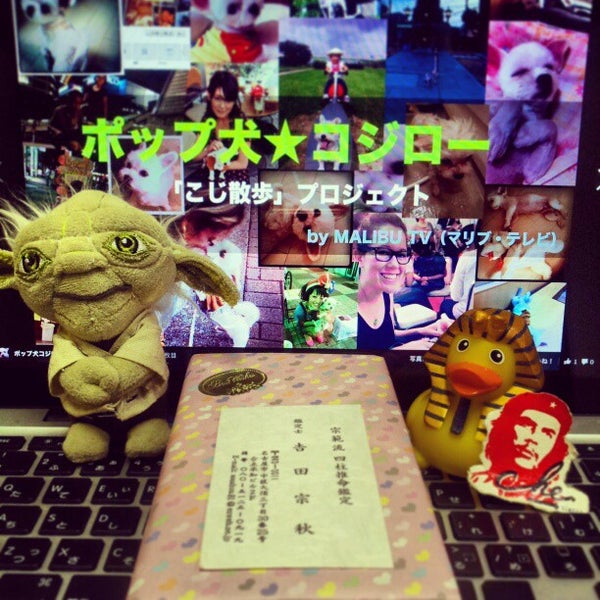 Photos At 大須合点承知チャンネル By いま出れるテレビ局 Malibu Tv