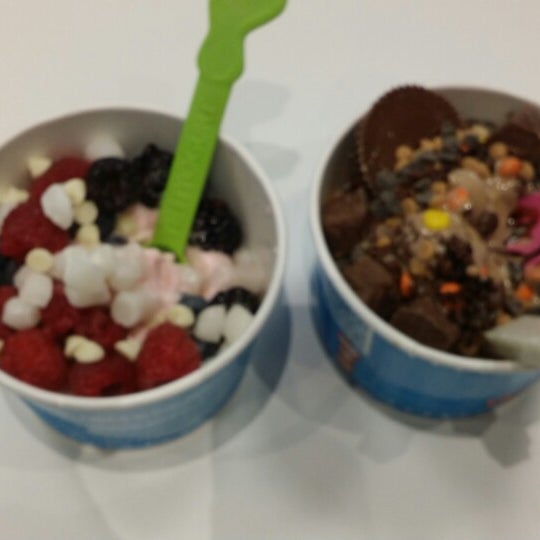 Yeti Yogurt Frozen Yogurt Shop