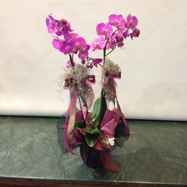 Foto tirada no(a) Violet Garden Çiçekliği por Cihan T. em 6/11/2014