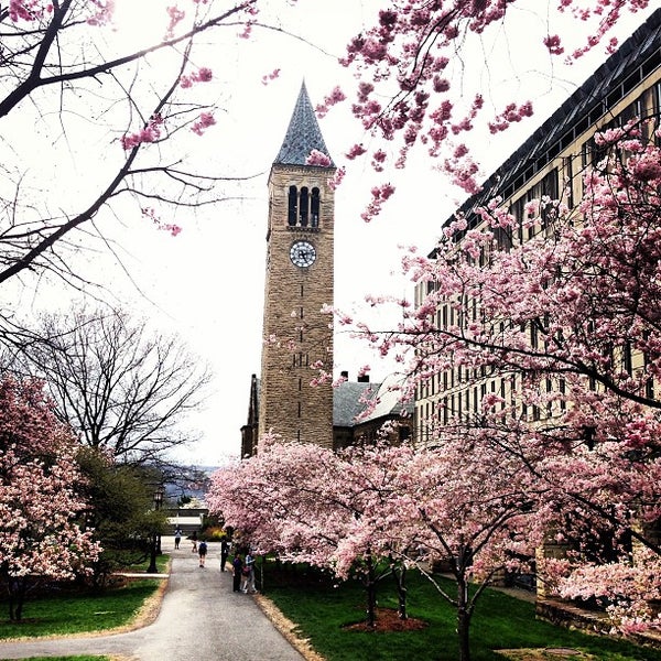 Cornell University 26 tips