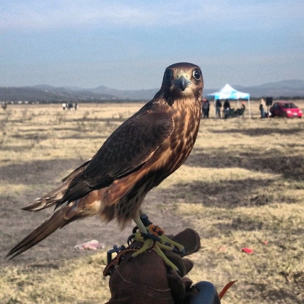 1/18/2014 tarihinde Saúl Ignacio R.ziyaretçi tarafından Rancho La Pitaya'de çekilen fotoğraf
