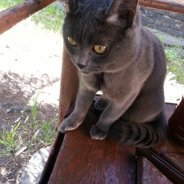 Фотографии на в/ч 73535 47 ТГО. - Военная база