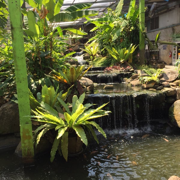 สวนผีเสื้อและโลกแมลงภูเก็ต (Phuket Butterfly Garden & Insect World