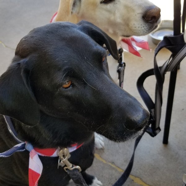 Einstein Bros Bagels Val Vista Lakes 7 tips from 416 visitors