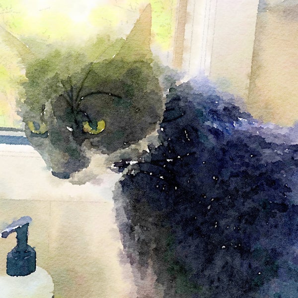 T.J. Maxx Fayetteville'de Büyük Mağaza