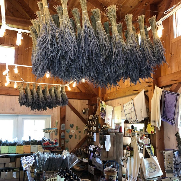 Photo taken at Lavender By the Bay - New York&#39;s Premier Lavender Farm by L. Paul R. on 5/24/2019