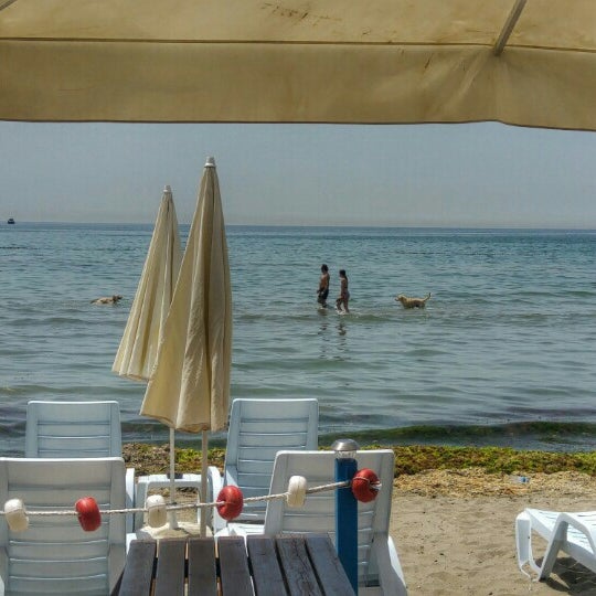 Beach Seat