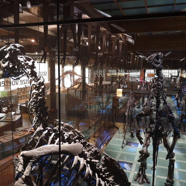 Photo taken at Museum of Natural Sciences by Michiel R. on 8/9/2019