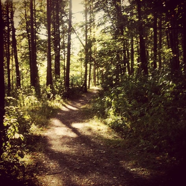 кубовая новосибирск. берёзовая роща", 7838097699, им-рф-zhen46-1. городская роща 2. квартал лукино балашиха.