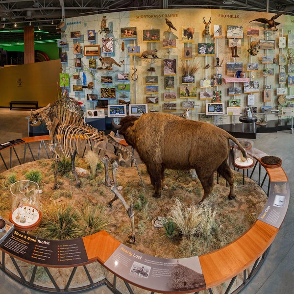 Das Foto wurde bei Fort Collins Museum of Discovery von Fort Collins Museum of Discovery am 10/16/2013 aufgenommen