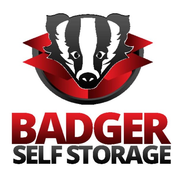 Www Badger Ru Интернет Магазин