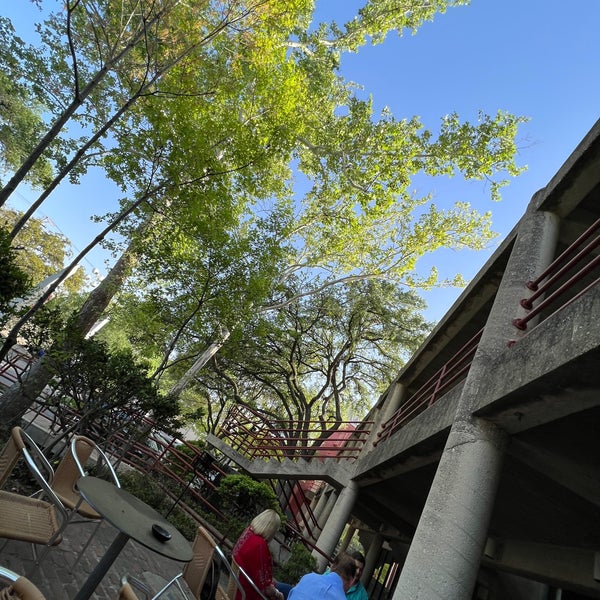 Bar Du Mon Ami - Cocktail Bar in Uptown Broadway