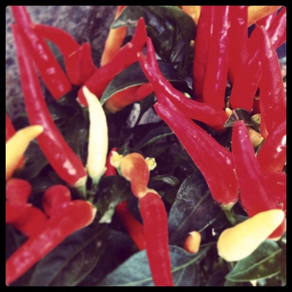 loja de tenis porto alegre