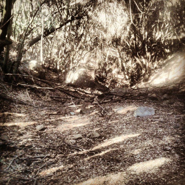 Hacienda Picarquin Camping en San Francisco de Mostazal