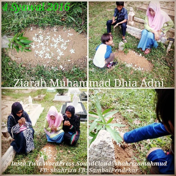 Lhdn Kuala Pilah 45 Visitors