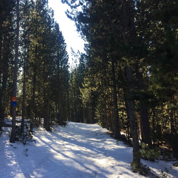 12/8/2019 tarihinde Elisabeth B.ziyaretçi tarafından LLES estació d&#39;esquí i muntanya'de çekilen fotoğraf