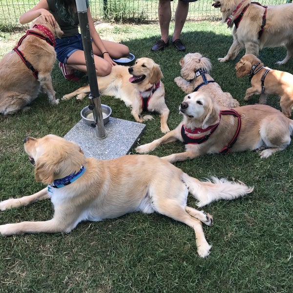 Happy dogs best sale kennel